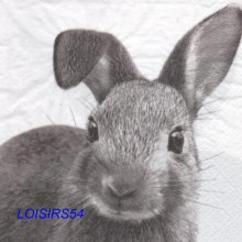 Serviette papier lapin gris- 33 cm x 33 cm