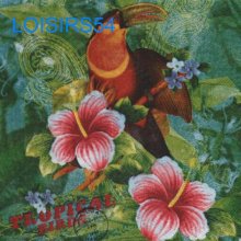 Serviette papier oiseau tropical - 33 cm x 33 cm