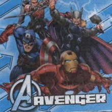 Serviette Avenger 25 cm X 25 cm 2 plis