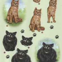 Feuille 3D chat noir et brun pour carte 3D