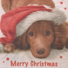 Serviette papier chien et Noël 33 cm X 33 cm 3 plis