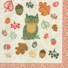 Serviette papier chouette 25 cm X 25 cm 2 plis