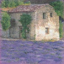 Serviette papier Provence Lubéron 33 cm X 33 cm 2 plis
