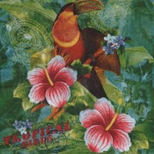 Serviette papier Tropical de 33 cm X 33 cm 2 plis