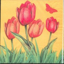 Serviette tulipes orange 33 cm X 33 cm 3 plis