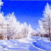 paysage hiver