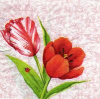 serviette
