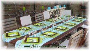 Sets de table pour table d'été en fête