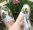 Espadrilles aux fleurs peintes