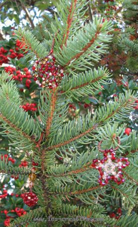 Suspensions de Noël en perles de cristal