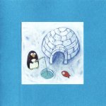 Carte double bleue pingouin et igloo