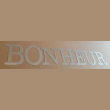 Lettre decorative en zinc BONHEUR 20 cm