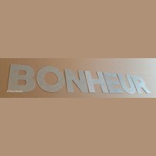 Lettre decorative en zinc BONHEUR 20 cm