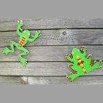 Kit micro-mosaïque ' Rainettes a décorer'