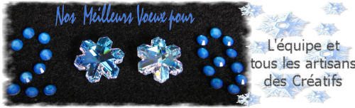 bonne année 2008